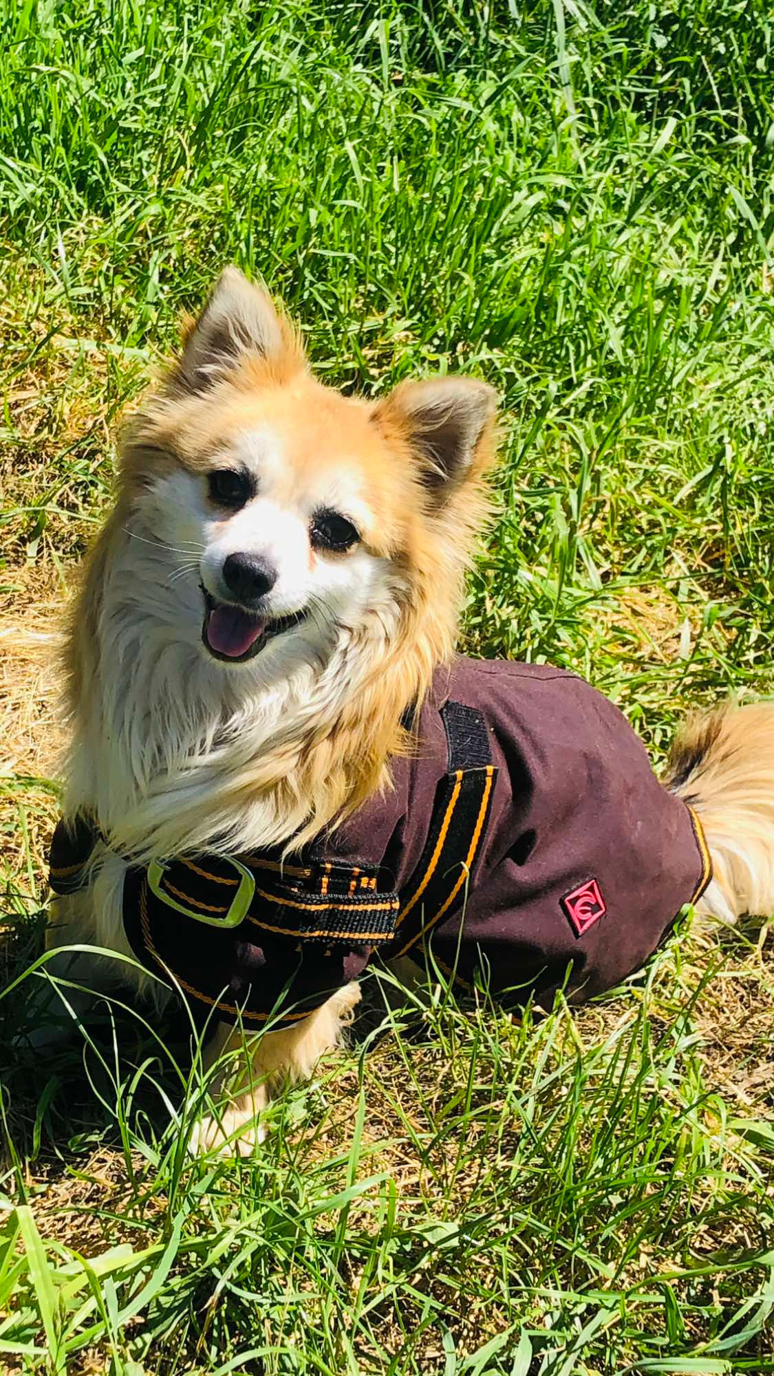 Classic Oil skin with super warm wool lined inner