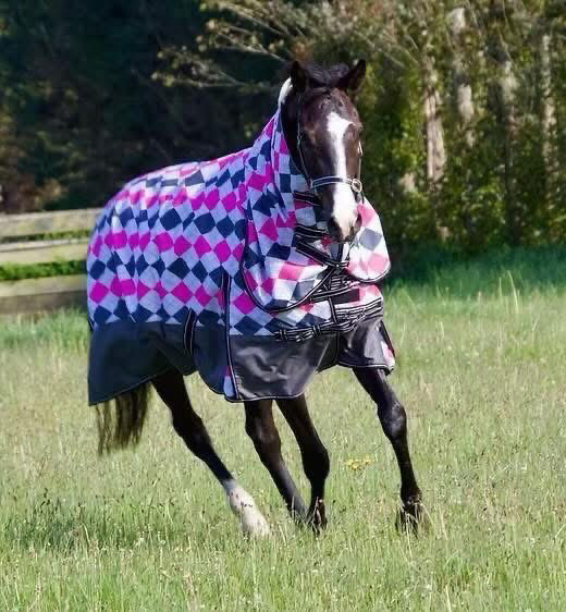 4.9 200GRAM Diamond 1200D DETACHABLES