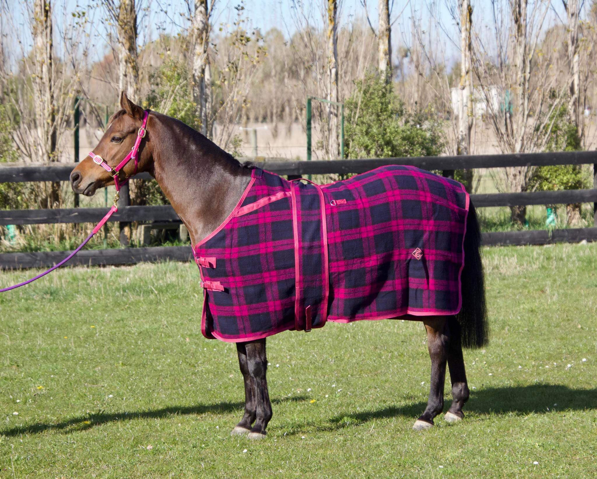 3’3 Deluxe Wool Rugs - Navy/Pink