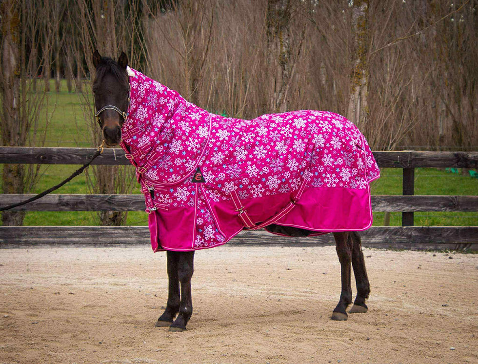 PINK SNOWFLAKE 1680D