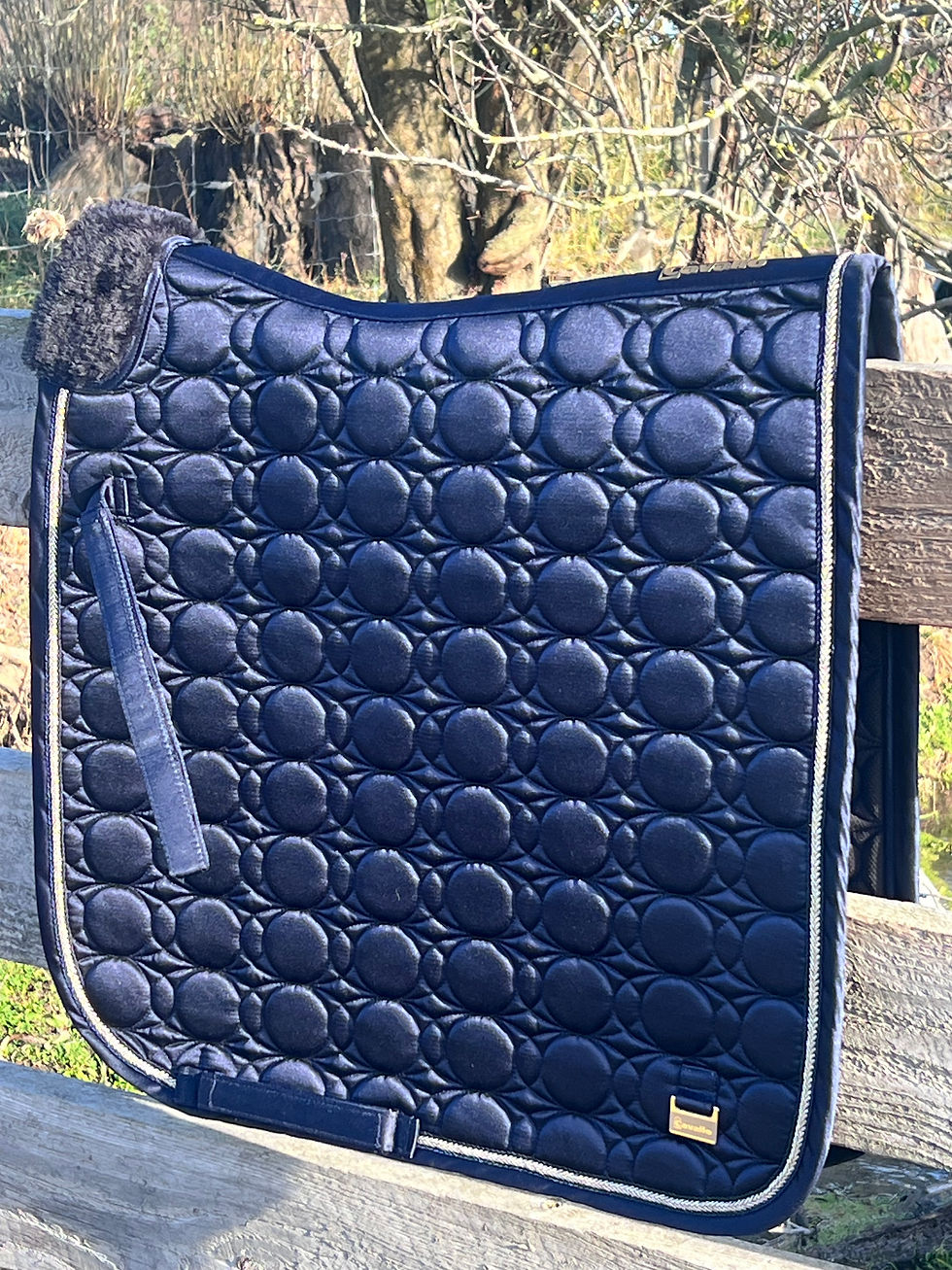 Thumbnail: FULL SIZED NAVY Dressage Saddle Pad