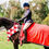 Thumbnail: RED FLEECE DRESS RUG