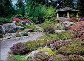 Rhododendron Species Botanical Garden