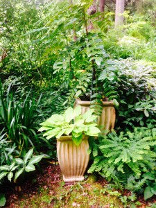 yellow host in a golden pot