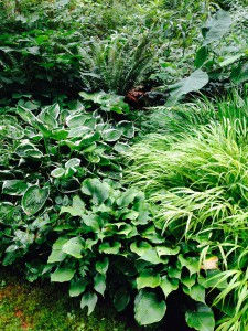 textural and color contrast