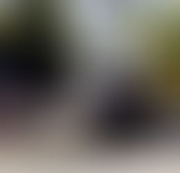 A Chance to Travel – Charleston and Savannah