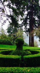 Bird topiary at Lakewold Garden