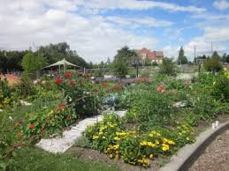 Playgarden