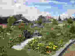 Playgarden
