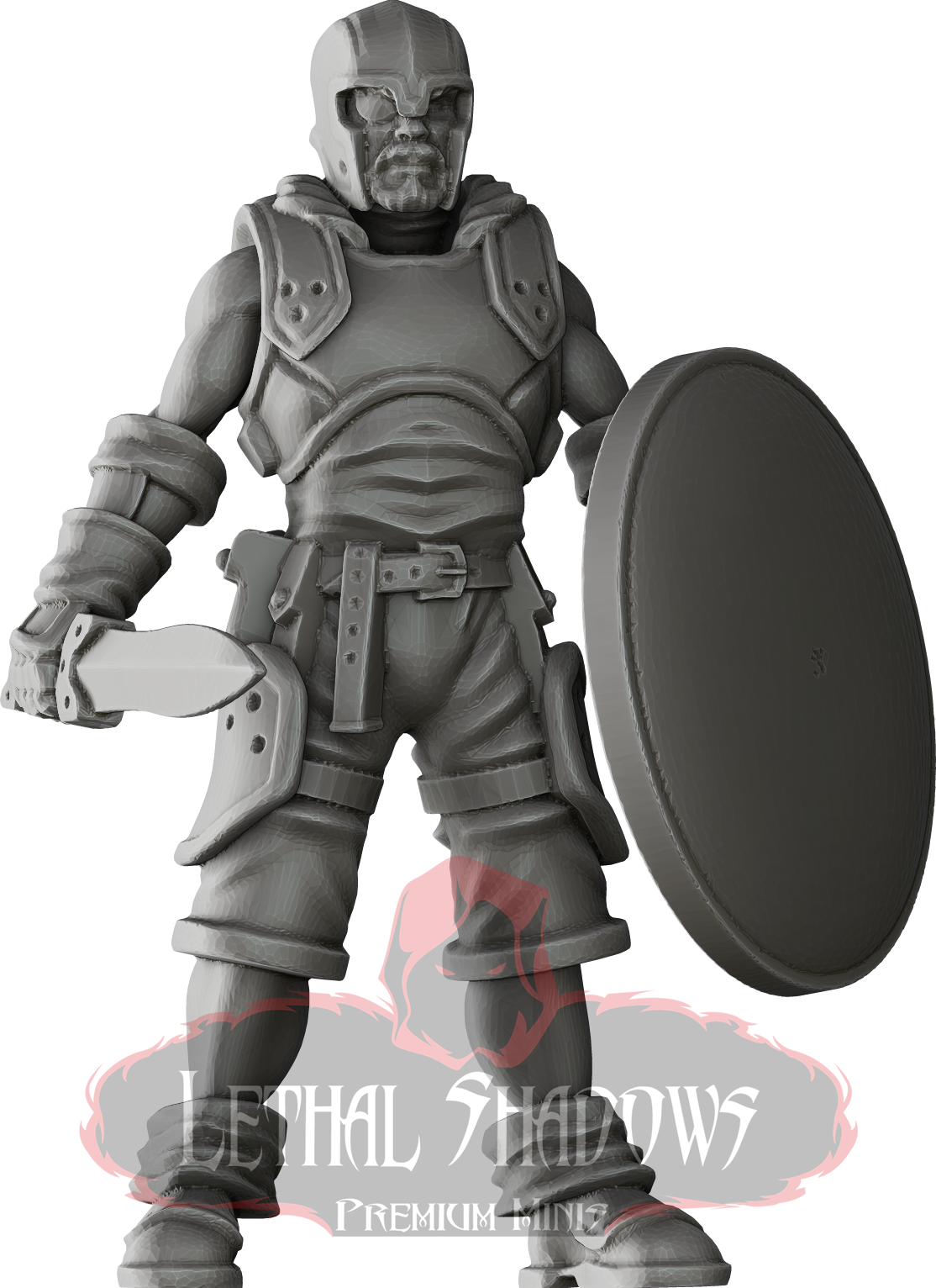 Grey armored soldier, shield, Lethal Shadows