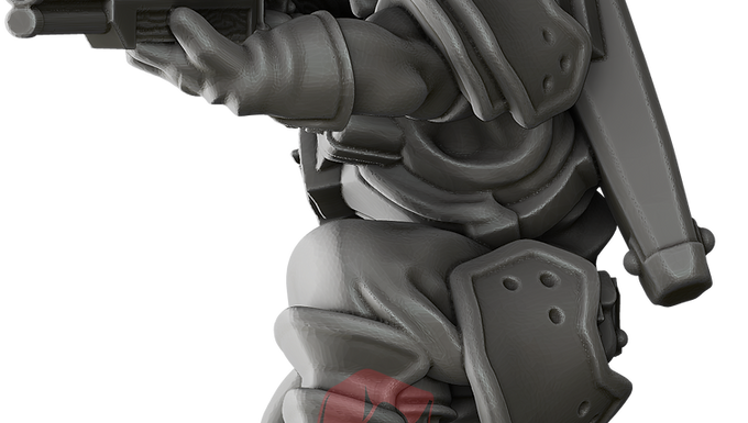 King's Guard Rifleman 10 (Human)