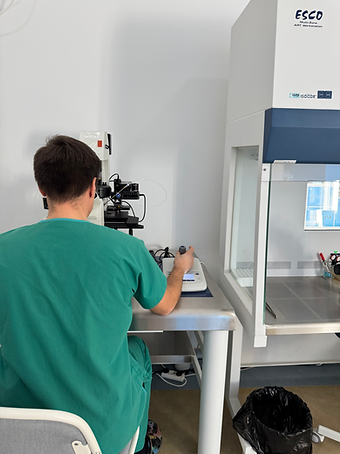 Surrogacy in Georgia