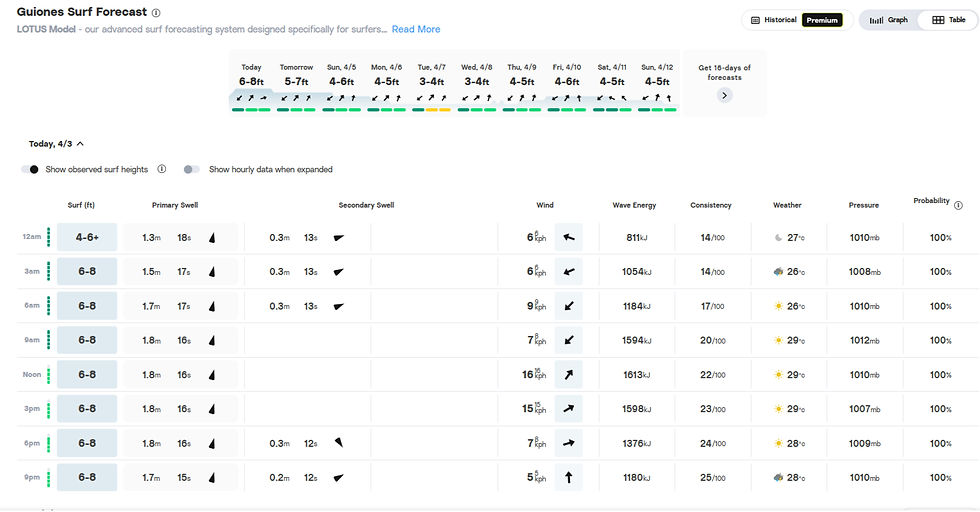 Overview of Playa Guiones Surf Forecast