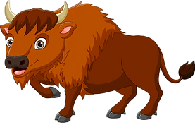 bison.png