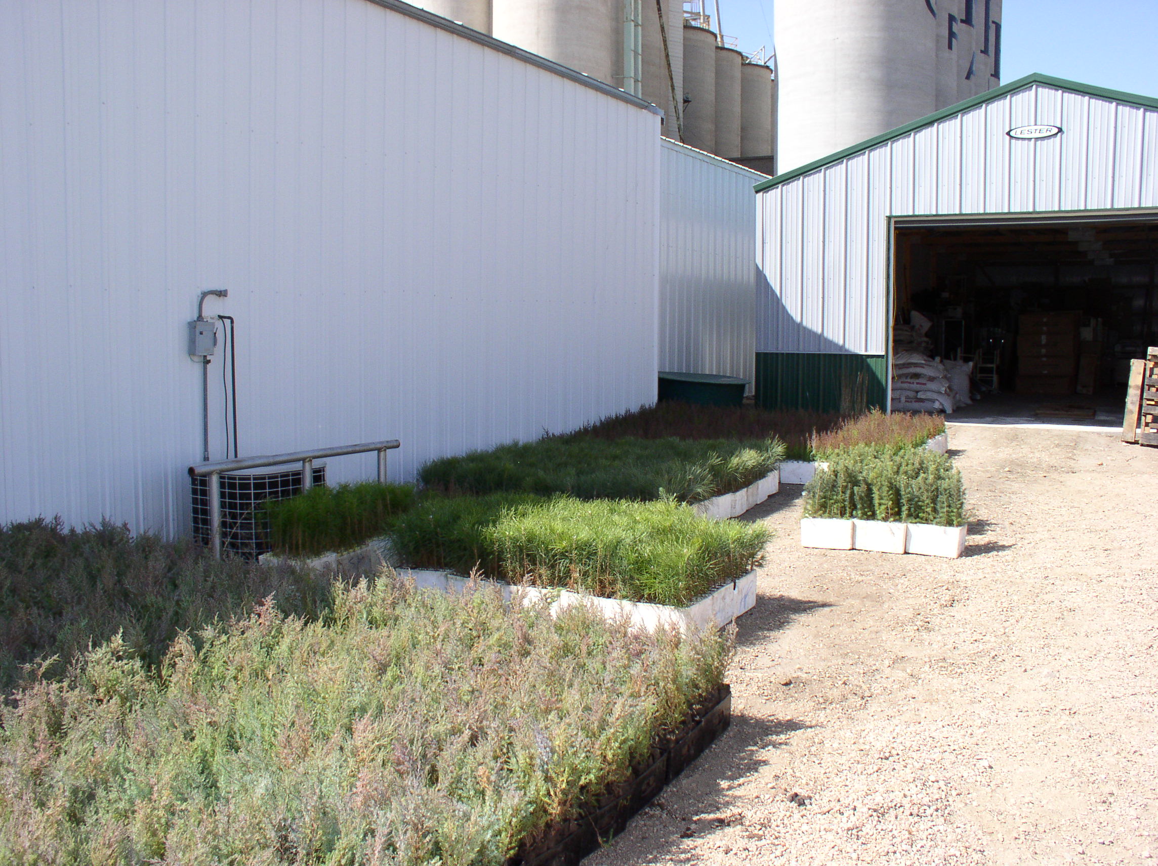 Conservation Tree Sales MCD