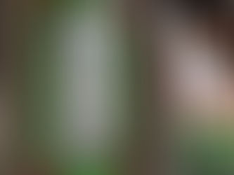 Restauration d'un magnifique vitrail à cives terminée !