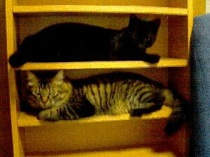 20050711・カプセルホテル