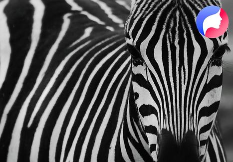 תמונה למדריך לשיפור מערכות יחסים.png