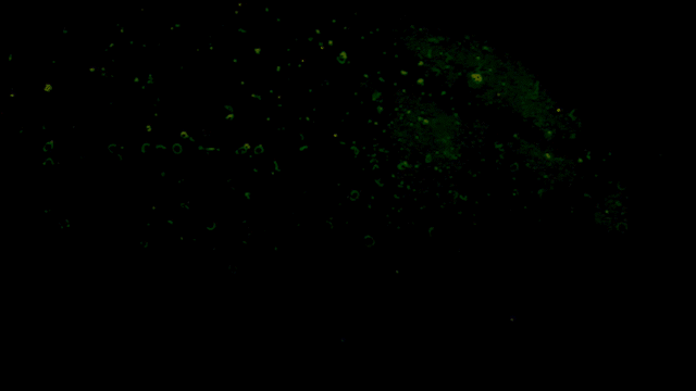 Vibrant 2.gif