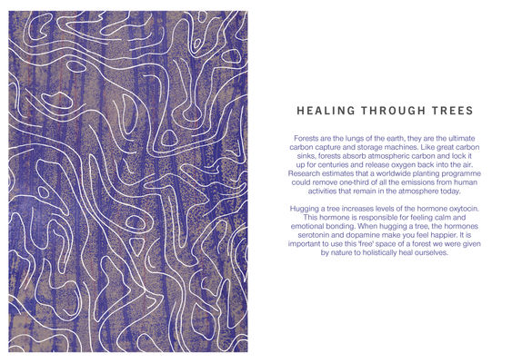 trees booklet5.jpg