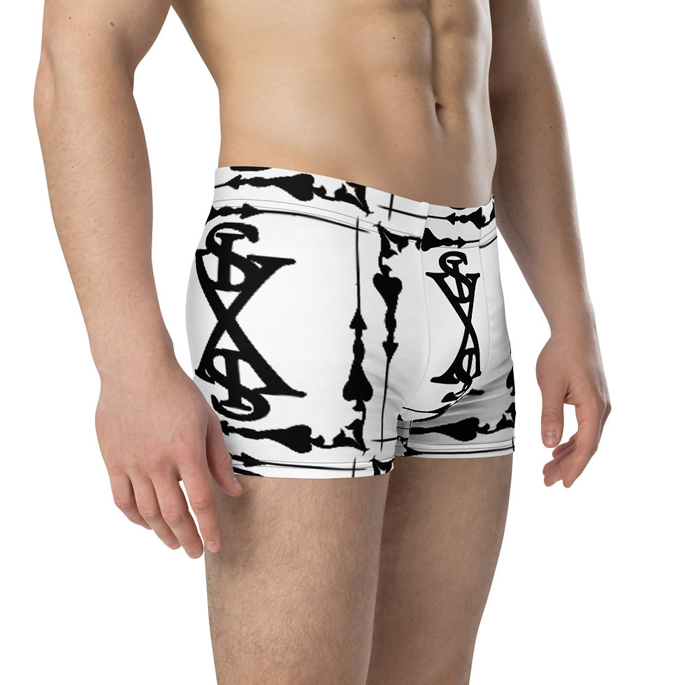 Thumbnail: "SL-FSB" (Black/White) Boxer Briefs