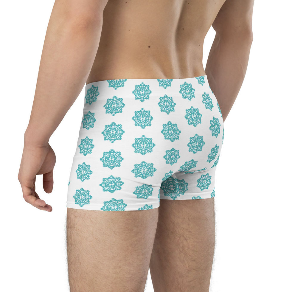 Thumbnail: "SSFP2-VB" (White)Boxer Briefs
