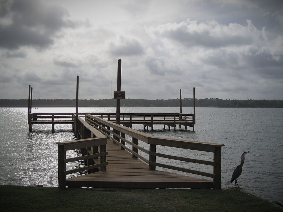 A peaceful dock stretches out over Lake Livingston