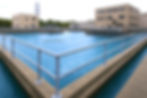 magna-flow-plant_edited.jpg
