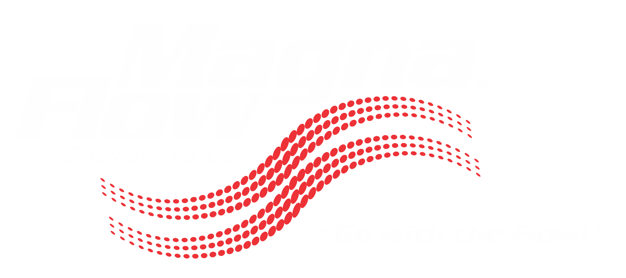 MagnaFlow web Logo.png