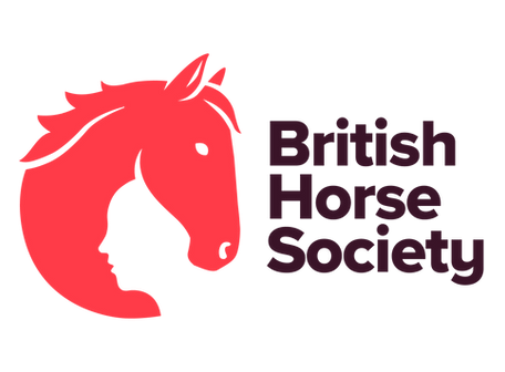 bhs_primarylogo_rgb-for-digital-online-use.png