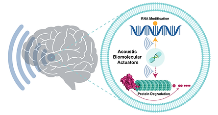 Area 2-Feb, 2025.tif