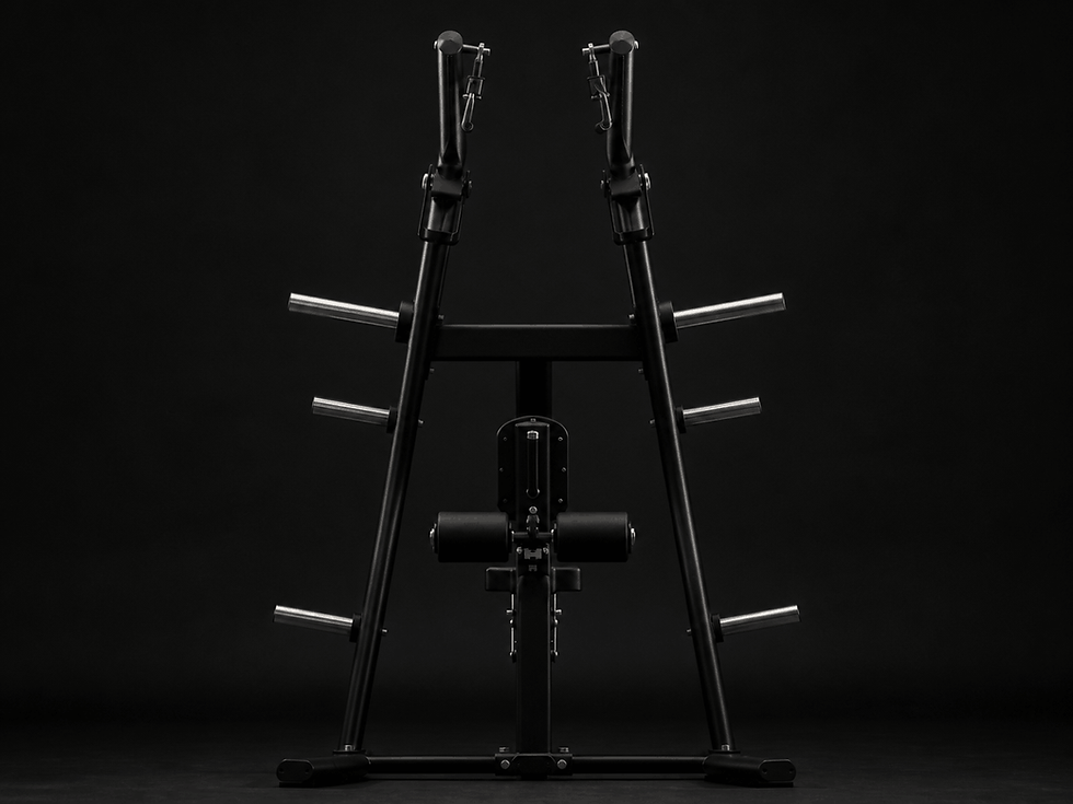 iso lat pull down plate loaded