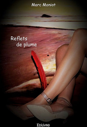 05-Reflets de plume.jpg