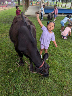 454578239_1240291863852789_4875057634176975694_n