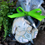 Thumbnail: Bunny Cookie Decorating Online Class #17