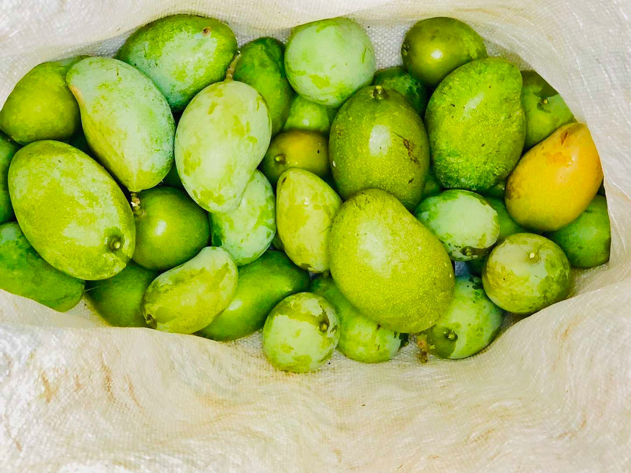 VVI Mangoes