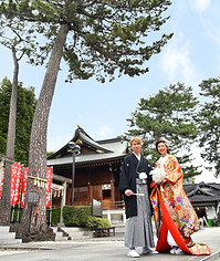 沼袋氷川神社3本願松.jpg