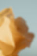 9J8A7083.jpeg