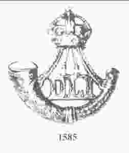 Image DLI Capt Badge