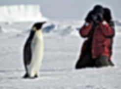 photographe terra darwin