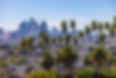istockphoto-1462431809-612x612.jpg