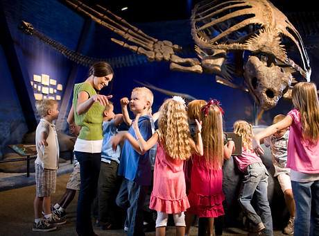 Kids in the Museum