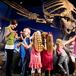 Kids in the Museum