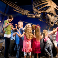 niños en el museo