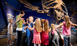 Kids in the Museum