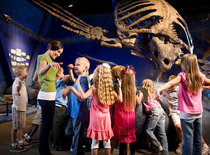 Kids in the Museum