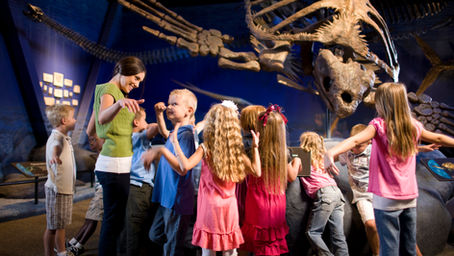 International Museum Day 2020