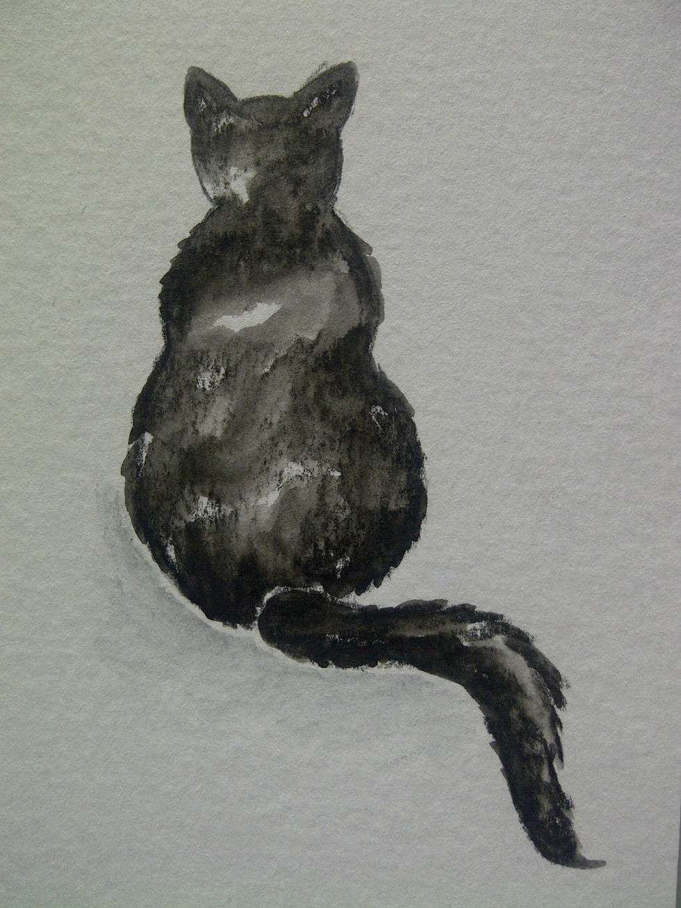 blackcat_2014