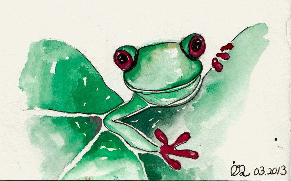 frog_2013_2