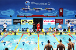 Dünya Yüzme Şampiyonası 2012